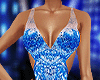 Blue Transperancy Gown