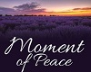 moment of peace