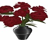Steel Vased Roses 6