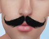 Asteri moustache |black