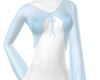 Vi Blue sheer blouse