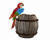 PARROT BIG MULTICOLORS