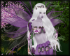 Fairy Wings Purple Sage