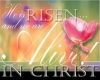 Christ is Risen!