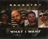 Daughtry - What I Want