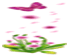 {L} Flowers pink Cetkrz