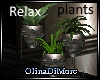 (OD) Relax plant stand