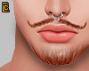 Mustache + Beard Ginger
