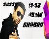 Shaggy(1-13) SW