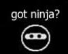 got ninja? (m) shirt