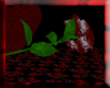 {DL} Luv's Rose