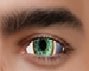 Tbb_green eye asteri 002