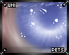 [Pets] Ferre | eyes