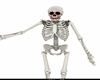 scheletro animato