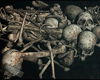 [Ps] Bones and Skull's