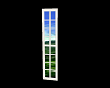 Tall Window w/View (2)