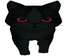 Red Witch Cat