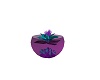 teal and purple Lotus