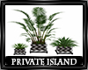 Private Villa Trio Plant