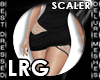 ! 139 LRG Scaler