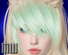 Who| Bangs2 Faded Mint