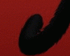 CAT KITTY TAIL