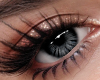!B Divine Eyes BLK