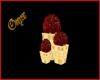 Gold/Red Wed Plant Set