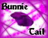 Purple Bunneh Tail 1