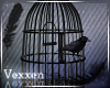 + Raven ☾ Birdcage +