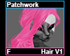 Patchwork Hair F V1