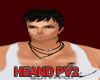 HEANDS 2013 PV2 DJ