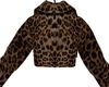 Choco Leopard Jacket