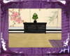 HW Japanese Bonsai Plant