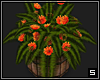 Flower Barrel  -2-