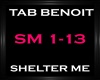 Tad Benoit - Shelter Me