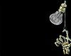 Z* Spiked Bracelet S. R.
