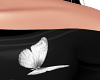 Brooch Batterfy