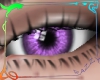Purple Dark Eye