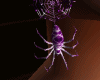 Spider Earrings  Purple