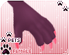 [Pets] Vida | claws