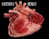 SC Beating Heart