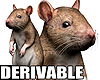 髪 Rat - Pet