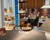 CD ZLoft Animated Salad