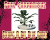 Feeling A bit Blue Plant