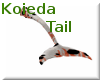 Koieda Tail V1