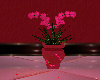 Romantic Plant Orchid