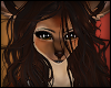 G|Deer Hair 09