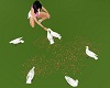 Feed The Doves (PALOMA)