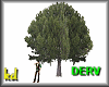 [KD] DER TREE